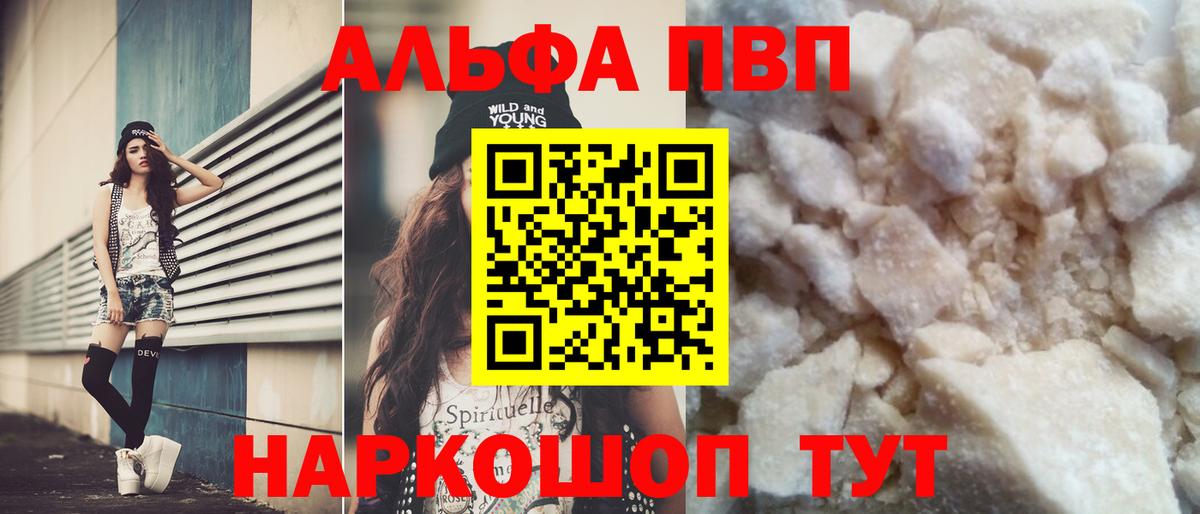 Alfa_PVP СК Тара