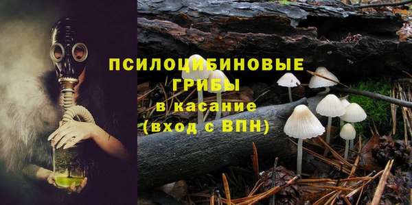 стаф Нягань