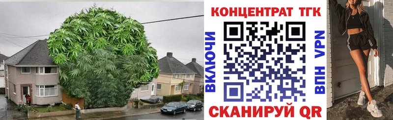 ТГК THC oil  Тара 