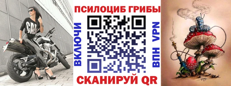 Псилоцибиновые грибы Psilocybe  Тара 