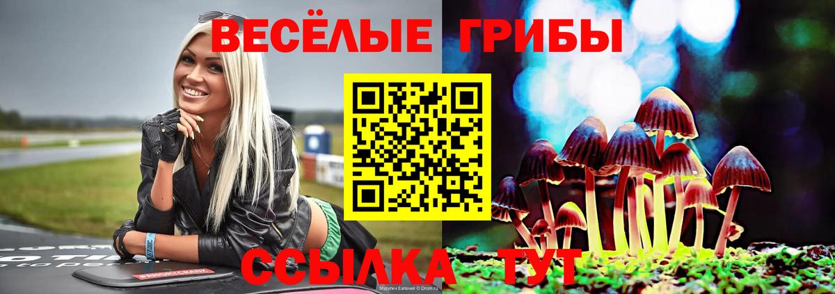 Тара  Псилоцибиновые грибы Psilocybe  Вход с VPN 