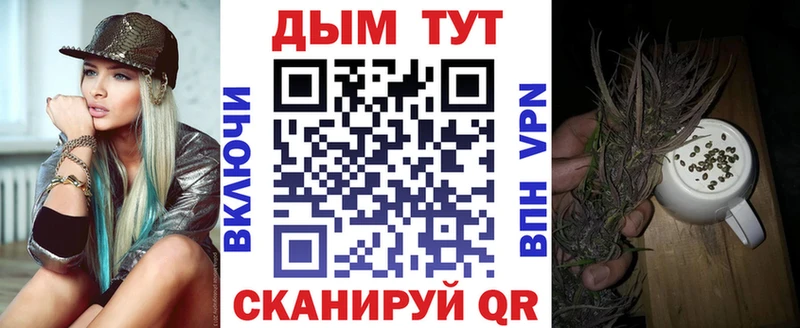 МЕГА онион  Тара  Шишки марихуана White Widow 