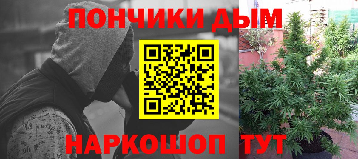 Бошки Шишки гибрид Тара
